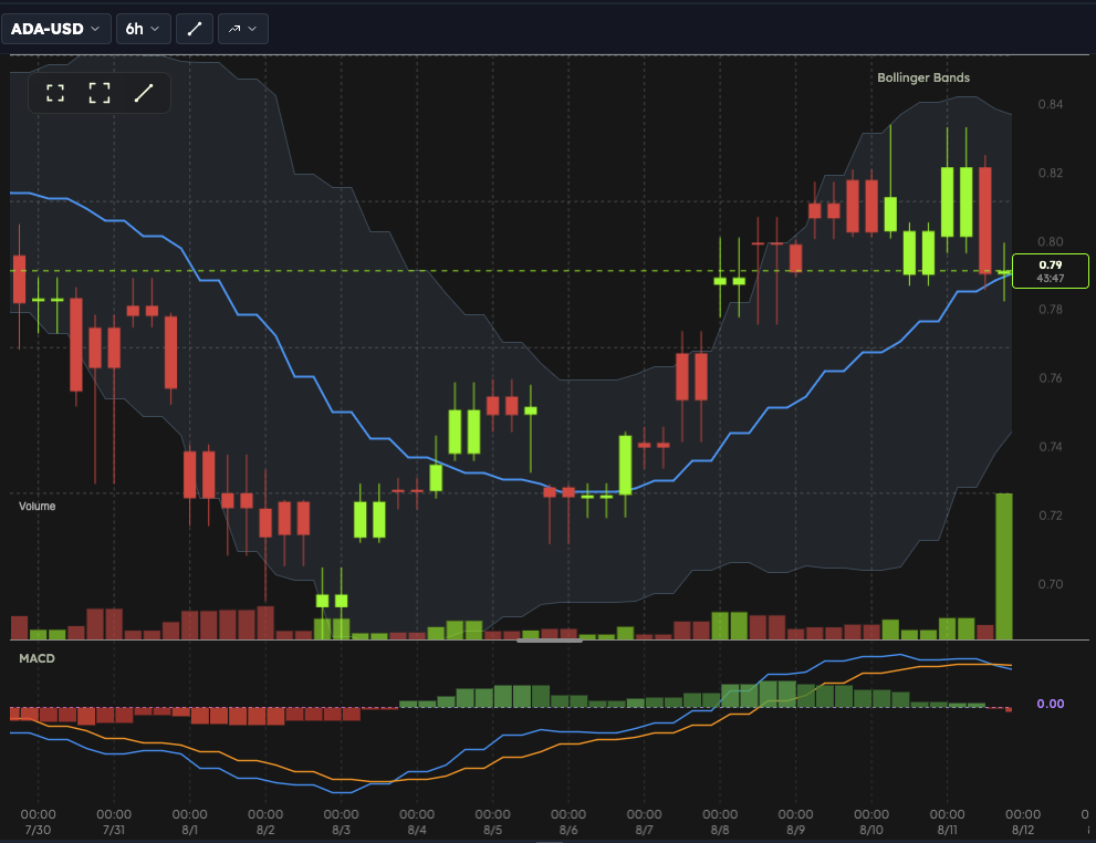 SpotCanvas indicators including Bollinger Bands and MACD on a crypto chart