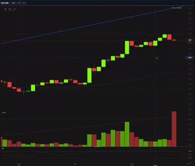 Advanced charting features including candlestick charts and crosshairs